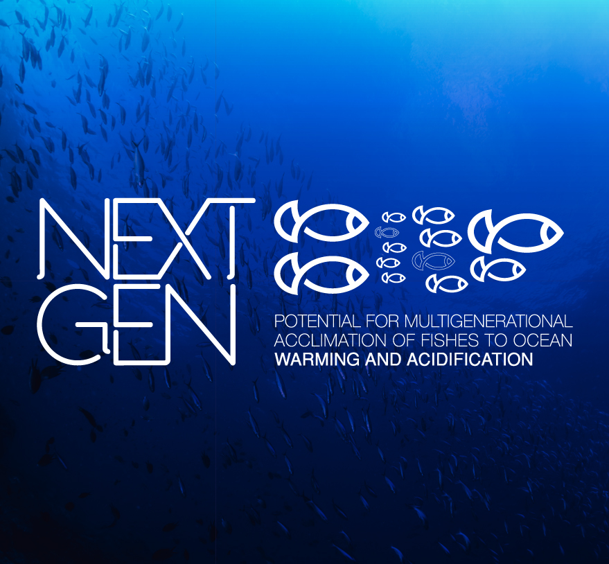 potential for multigenerational acclimation of fishes to ocean warming and acidification